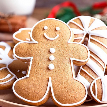 Сухая готовая смесь для Имбирного печенья | 0.2 - 1 кг Сухая готовая смесь для Имбирного печенья | 0.2 - 1 кг