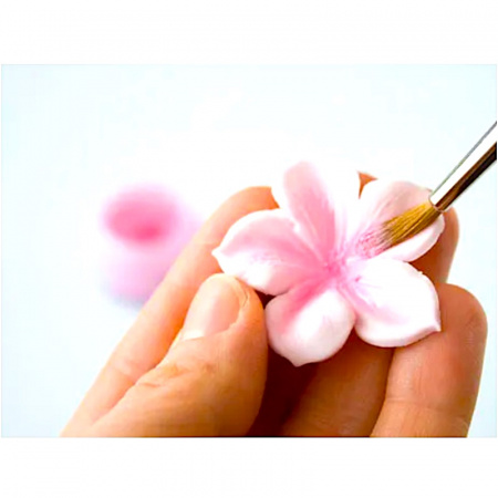 Пищевой краситель цветочная пыльца Коричневая 5 гр. Пищевой краситель цветочная пыльца Коричневая 5 гр.